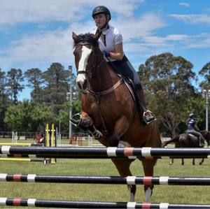 Meet your Posher, Lottie